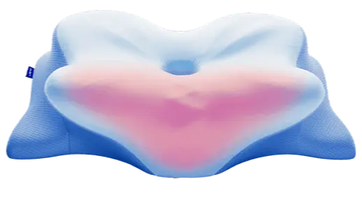 Derila Ergo Pillow Official Website